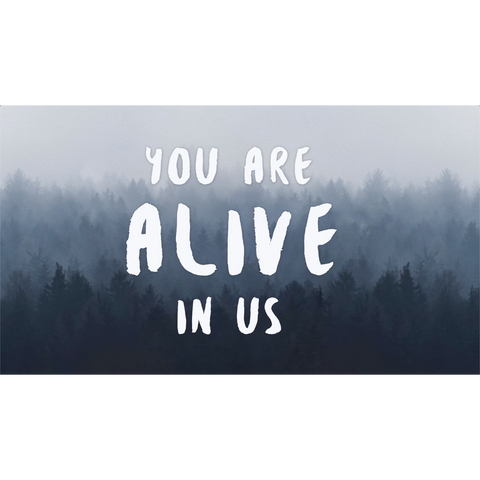 Alive Live Lyrics Video (Download)