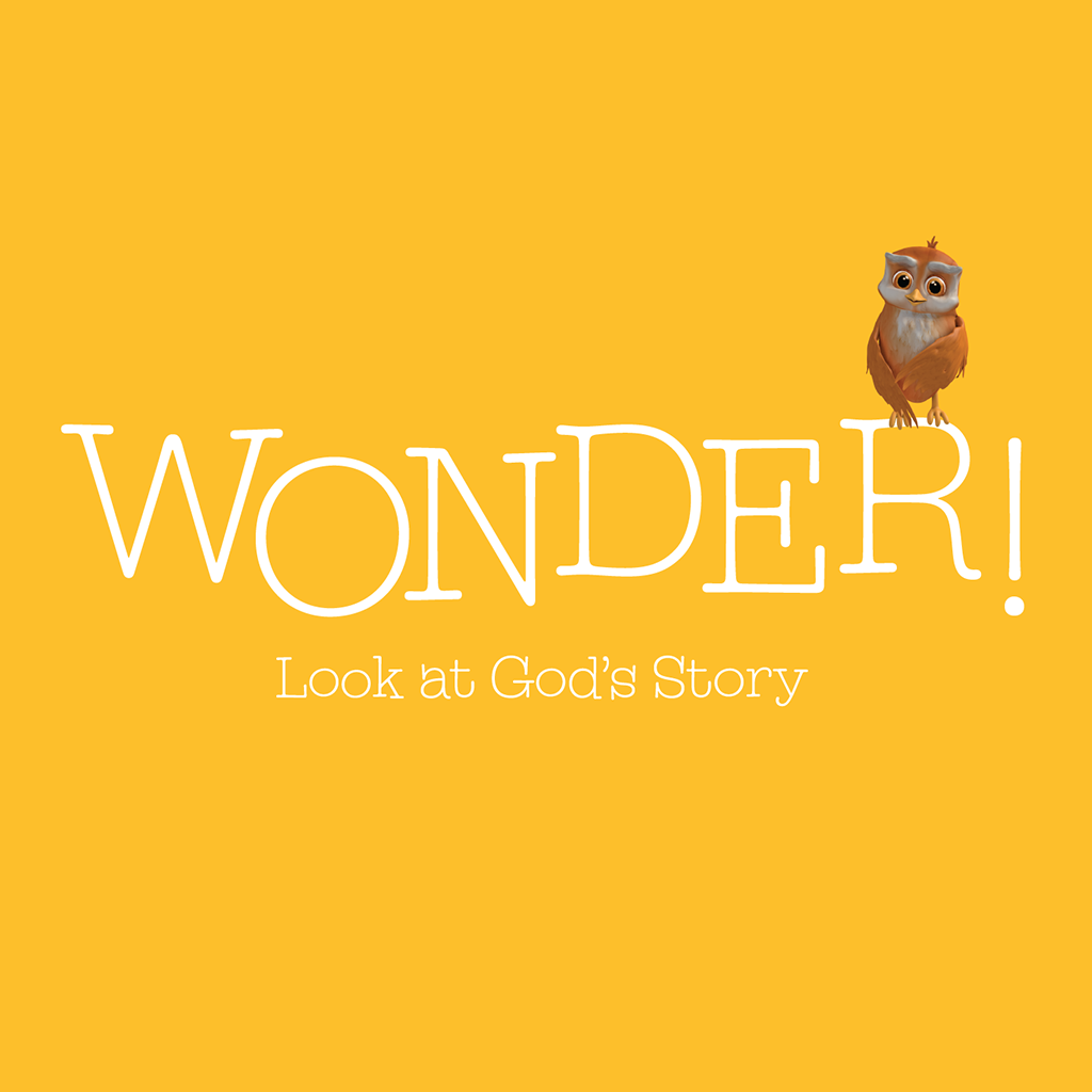 Wonder